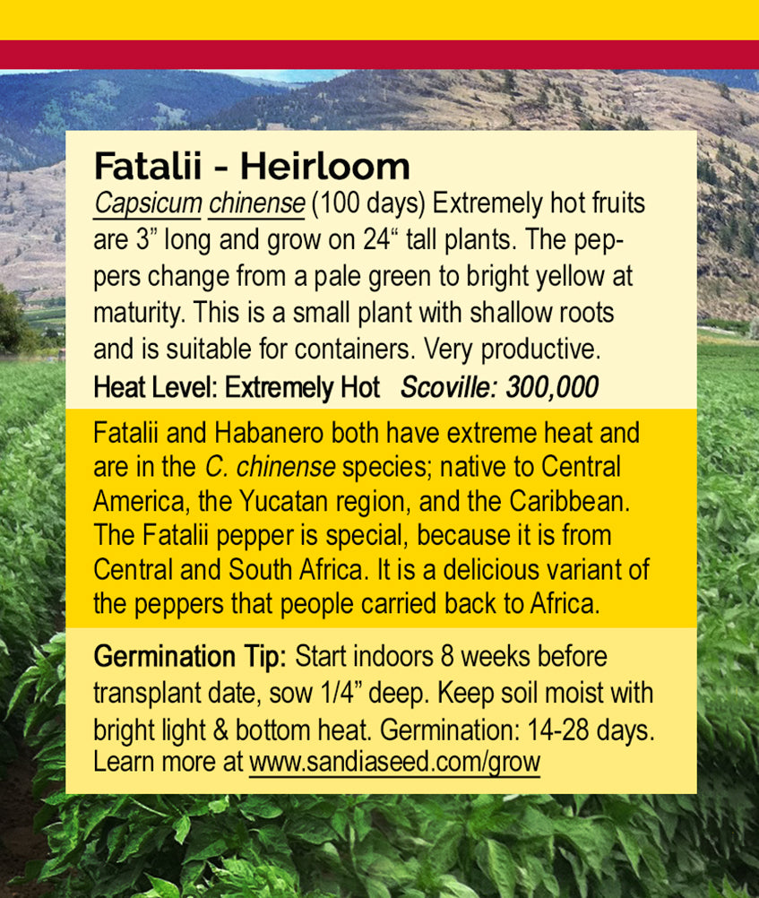 Fatalii Pepper Seeds