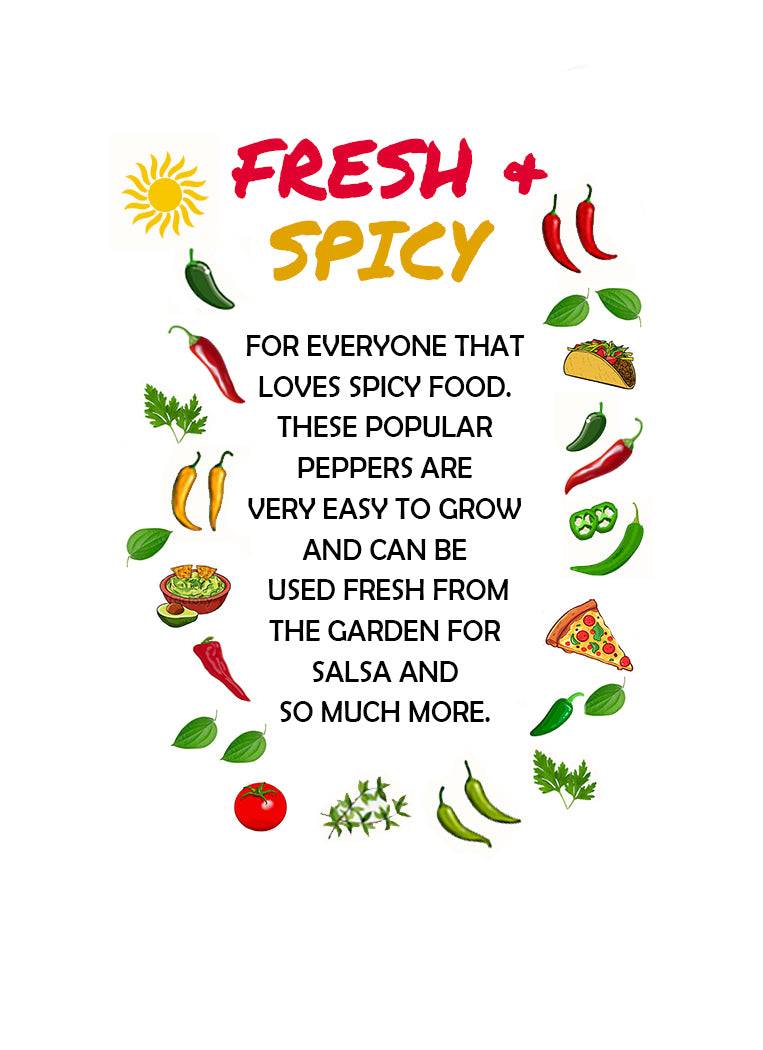 Fresh & Spicy illustrated guide promoting easy-to-grow spicy peppers like Jalapeño, Serrano, and Fresno from the Pepper Seeds 3-Pack.