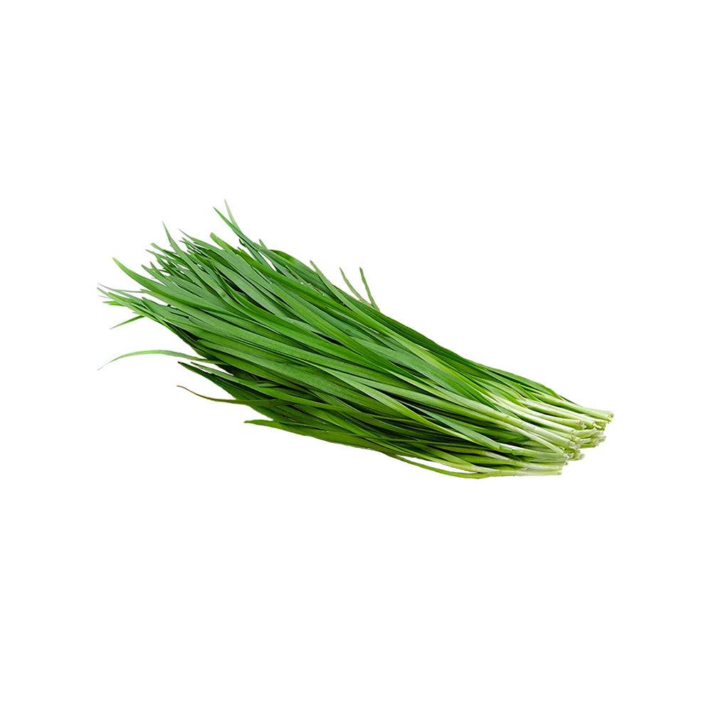 Bundle of garlic chives included in the Herb Seeds Bundle. Grow this aromatic herb easily in your home garden.