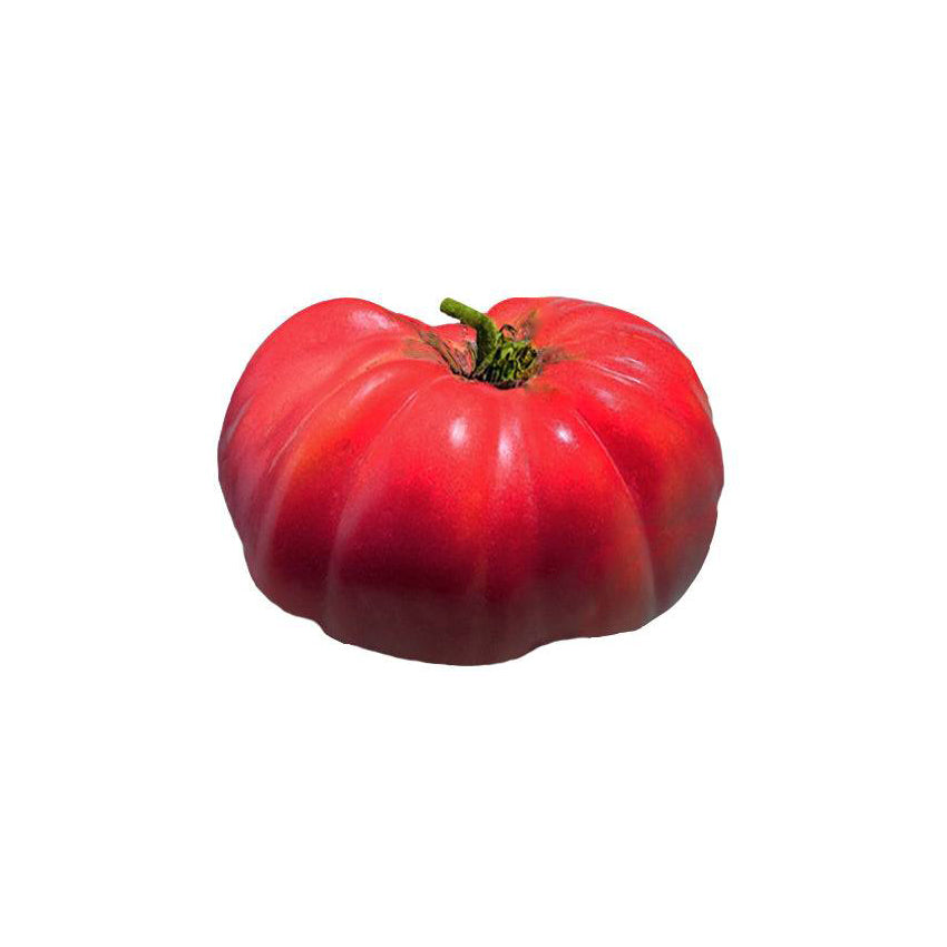 German Johnson Tomato Seeds - Large Beefsteak Tomatoes - Heirloom