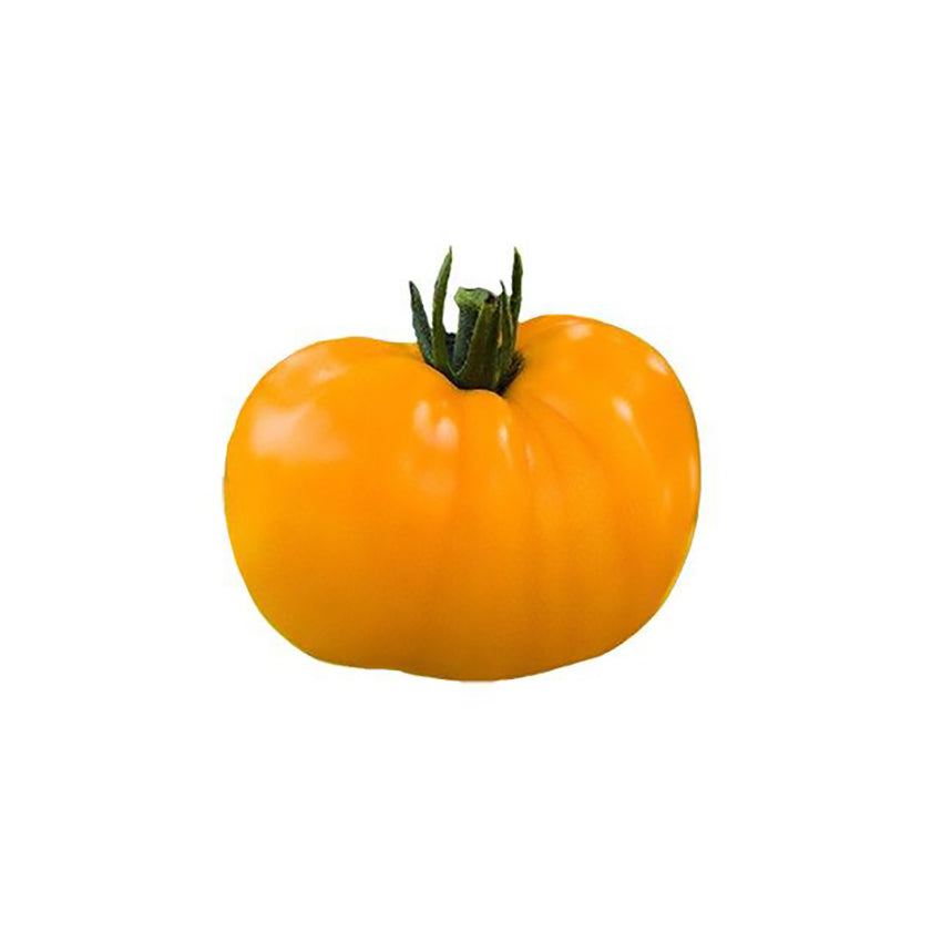 Golden Jubilee Tomato Seeds - Low Acidity - Heirloom Seeds