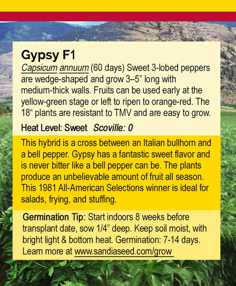 Back of Gypsy F1 Sweet Pepper Seeds packet detailing flavor, growth tips, and germination info for sweet, non-bitter peppers ideal for salads and frying.