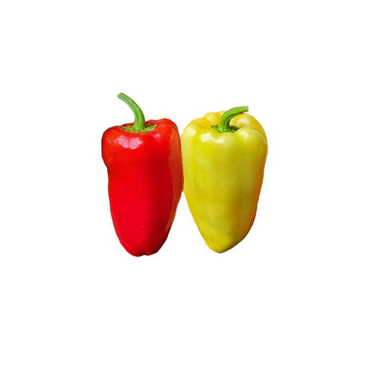 Red and yellow bell peppers on a white background
