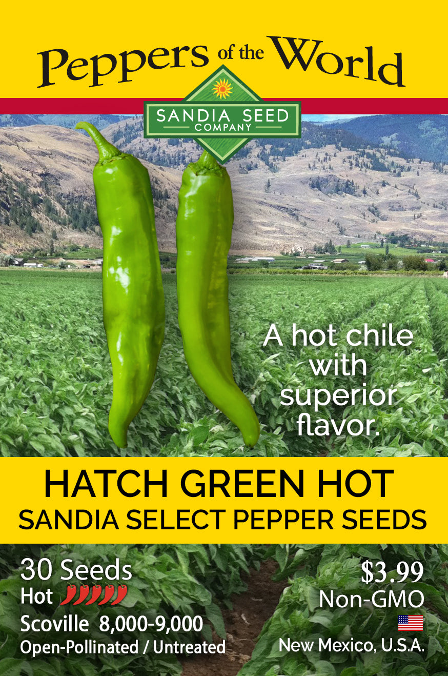 Hatch Green Hot - Sandia Select Green Chile Seeds - High Yield, Hot Flavor