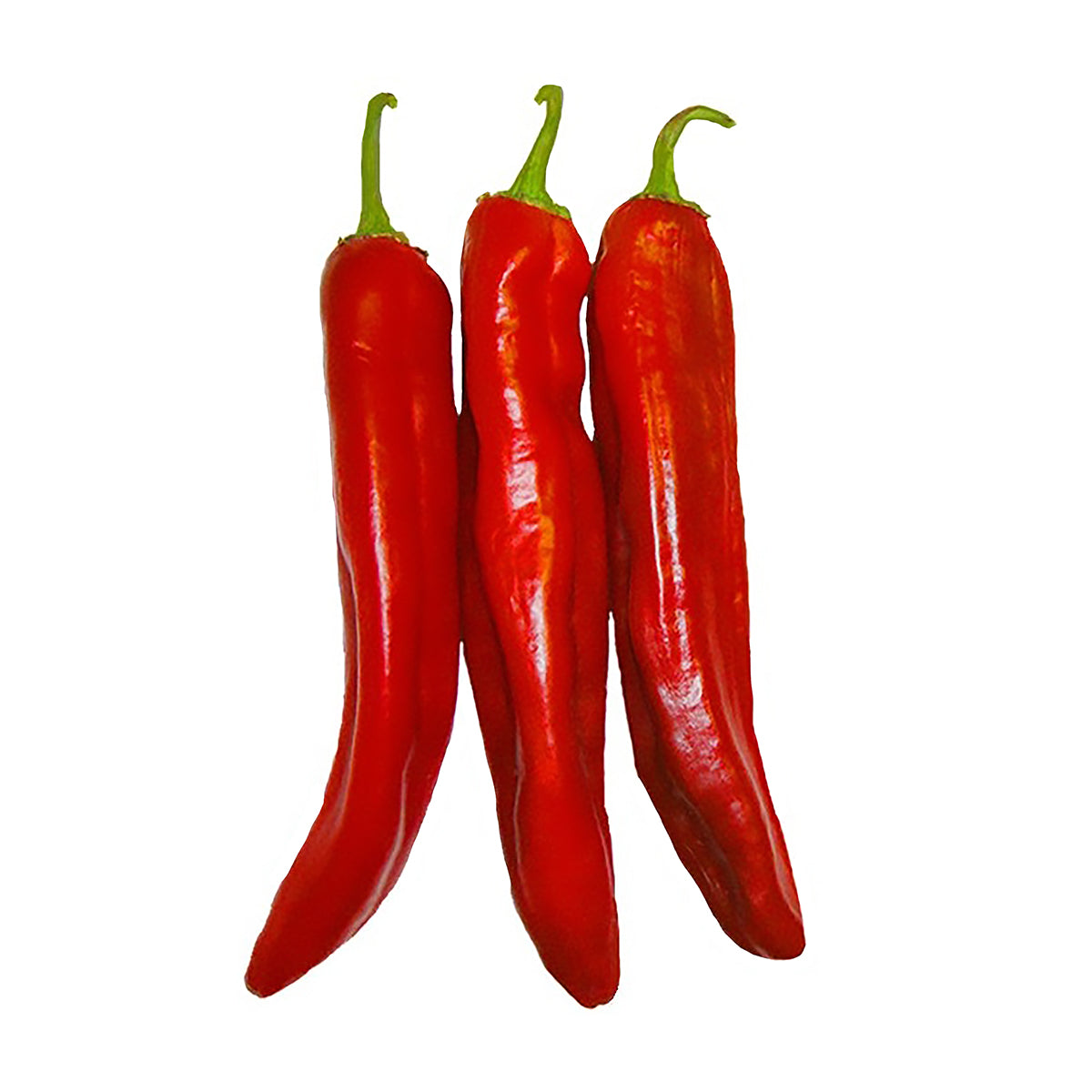 Hatch Red Medium - Joe E. Parker Chile Seeds - Popular Heirloom with Great Flavor