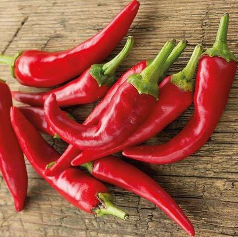 Hot Portugal Pepper Seeds - Early Maturing - Non-GMO, 65 Days; group of fresh red Hot Portugal peppers on rustic wooden surface.