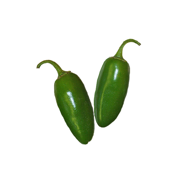 Two fresh green Jalapeño Early peppers, ideal for short growing seasons and cool climates. Great for home gardening and spicy recipes.
