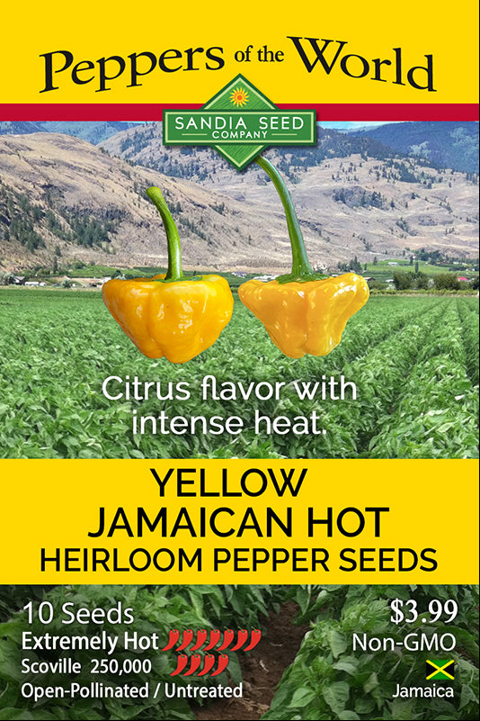 Jamaican Hot Yellow Heirloom Pepper 10 Seeds - Extreme Heat