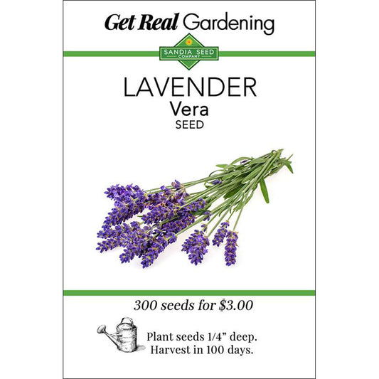 Lavender Vera Seeds - English Heirloom - Cold-Hardy, Fragrant Blooms