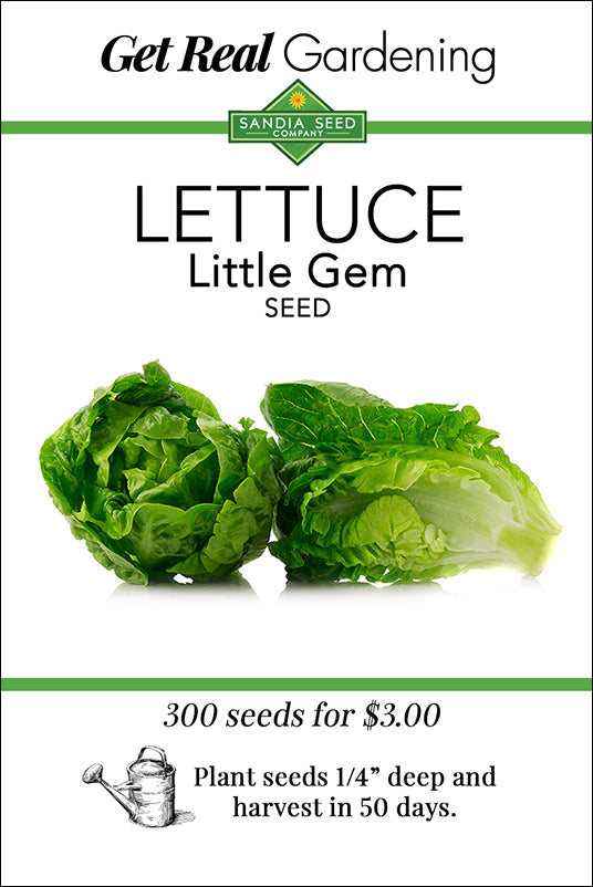 Lettuce Seeds (Organic) - Little Gem - Packet, Vegetable Seeds, Eden Brothers