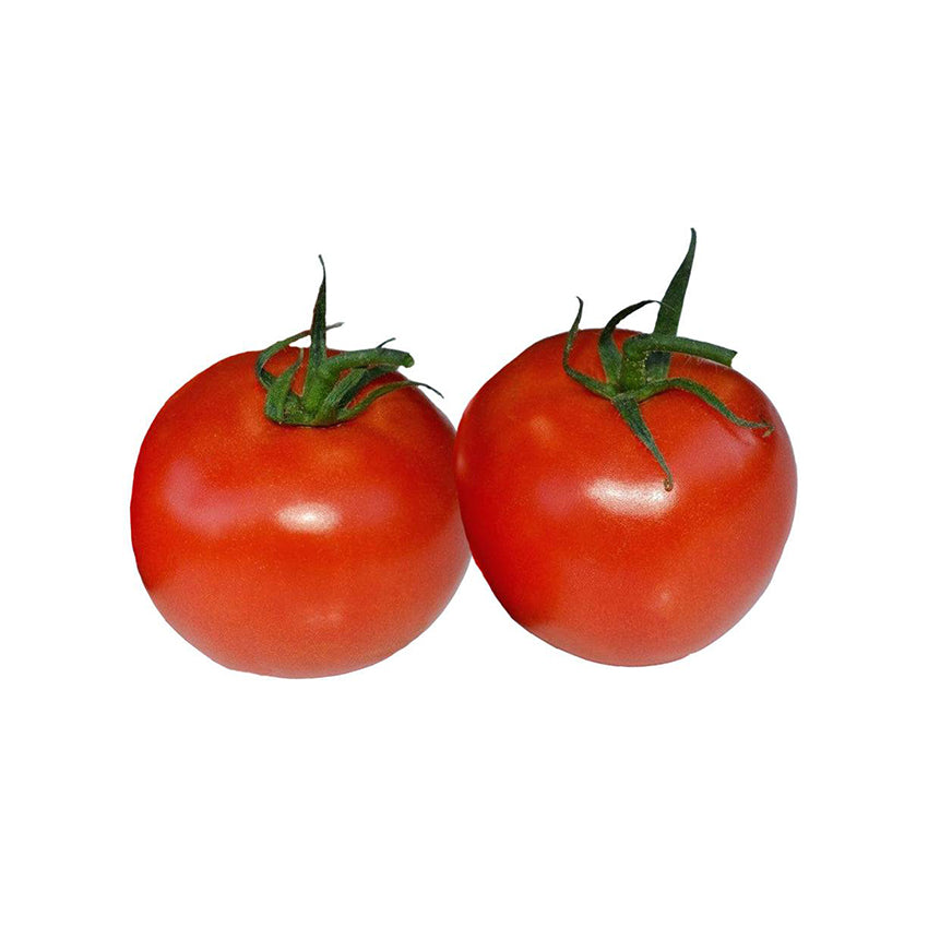 Marglobe Supreme Seeds - High Yield Tomato - Disease Tolerant
