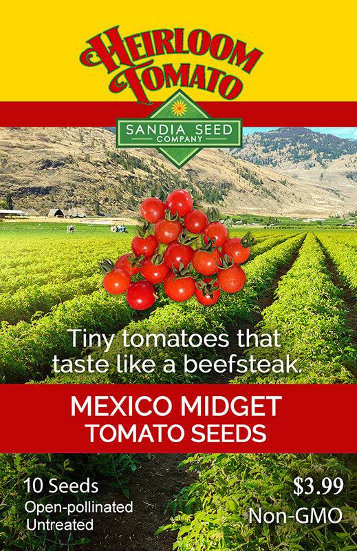 Mexico Midget Tomato Seeds packet by Sandia Seed Company featuring heirloom cherry tomatoes, labeled non-GMO, open-pollinated, and untreated.