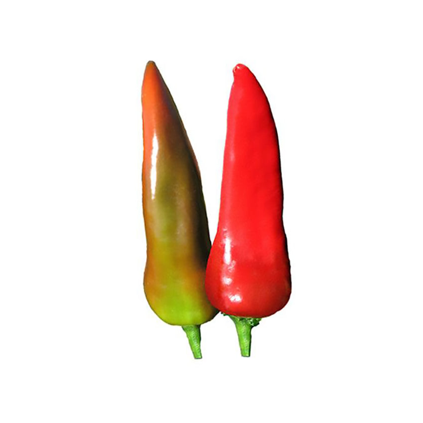 Mirasol Mosco Pueblo Chile Seeds - Sweet Colorado Flavor - Medium Heat
