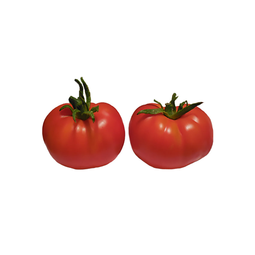 New Yorker Tomato Seeds - Early Slicer Variety showing two ripe, red, determinate heirloom tomatoes with smooth skin and green tops.