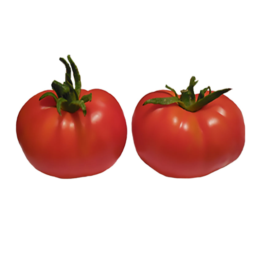 New Yorker Tomato Seeds - Early Slicer Variety - Great for Cool Short Seasons