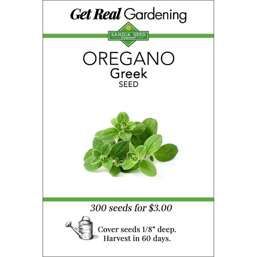 Oregano Greek Seeds - True Greek Oregano - Spicy Aromatic Herb - ON SALE