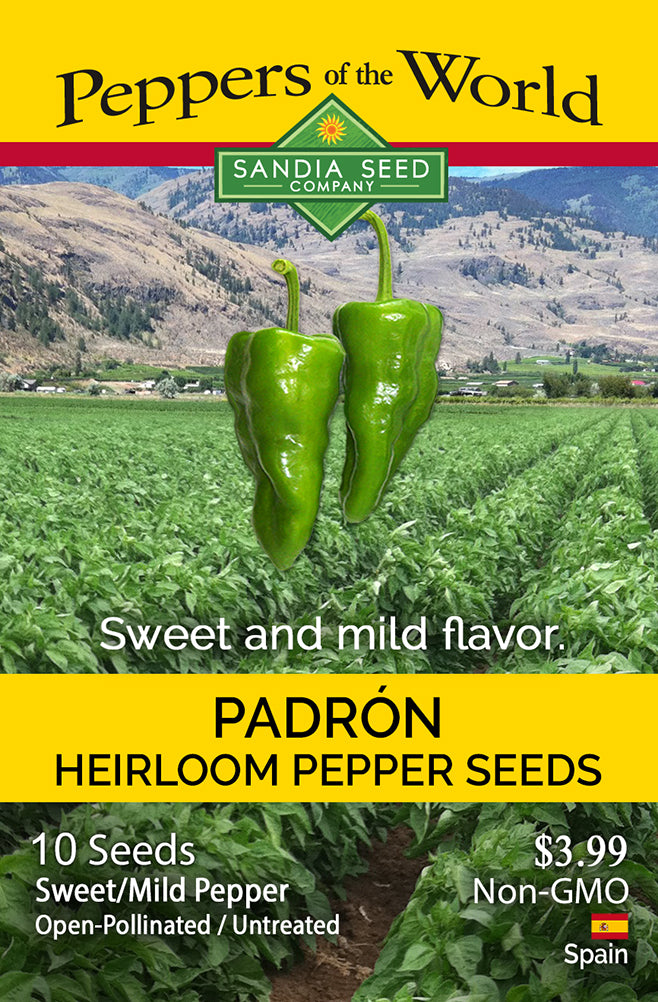 Padrón Pepper Seeds - Spanish Gourmet Sweet Heirloom - Quick & Productive