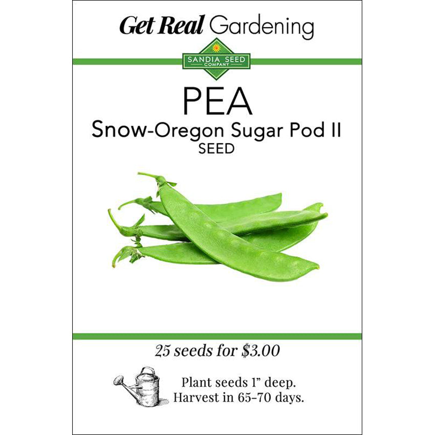 Oregon Sugar Pod Pea Seeds - Crisp, Tender, and Sweet