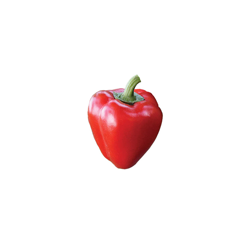 Heirloom pimento pepper with glossy red skin and thick flesh, ideal for stuffing or cheese. Sweet, non-GMO variety for home gardens.