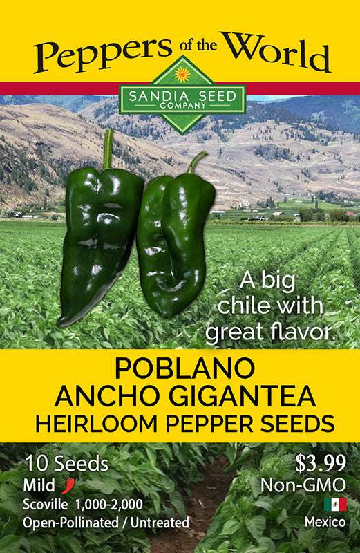 Poblano Ancho Pepper Seeds-Gigantea Poblano seed packet by Sandia Seed Company, featuring heirloom, non-GMO seeds for mild Mexican peppers.