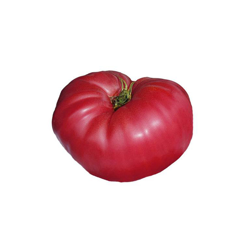 Pruden's Purple heirloom tomato with dark pink skin and ribbed shoulders, known for its sweet taste and meaty texture.