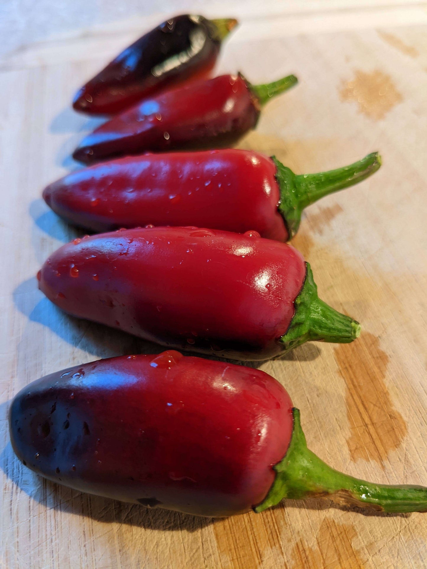 Close-up of Jalapeño Purple peppers on a wooden board, highlighting their glossy red and purple skin and crisp texture.