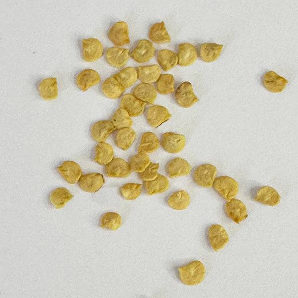 Close-up of Rattlesnake Green Chile seeds, perfect for planting spicy Hatch chiles in home gardens or seed collections.