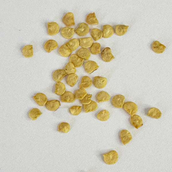 Close-up of Rattlesnake Green Chile seeds, perfect for planting spicy Hatch chiles in home gardens or seed collections.