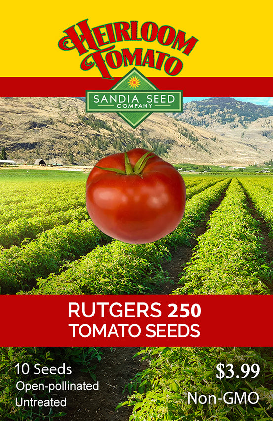 Seed packet design for Heirloom Tomato 'Rutgers 250' seeds by Sandia Seed Company, showing a large red tomato over a tomato field background with yellow and red branding panels.