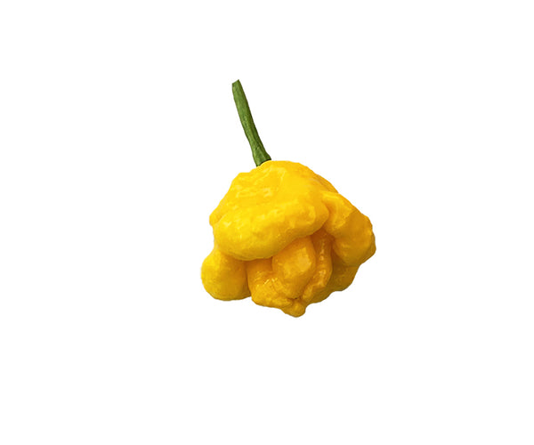 plant scotch bonnet pepper seeds Scotch Bonnet Pepper Seeds - Yellow Heat