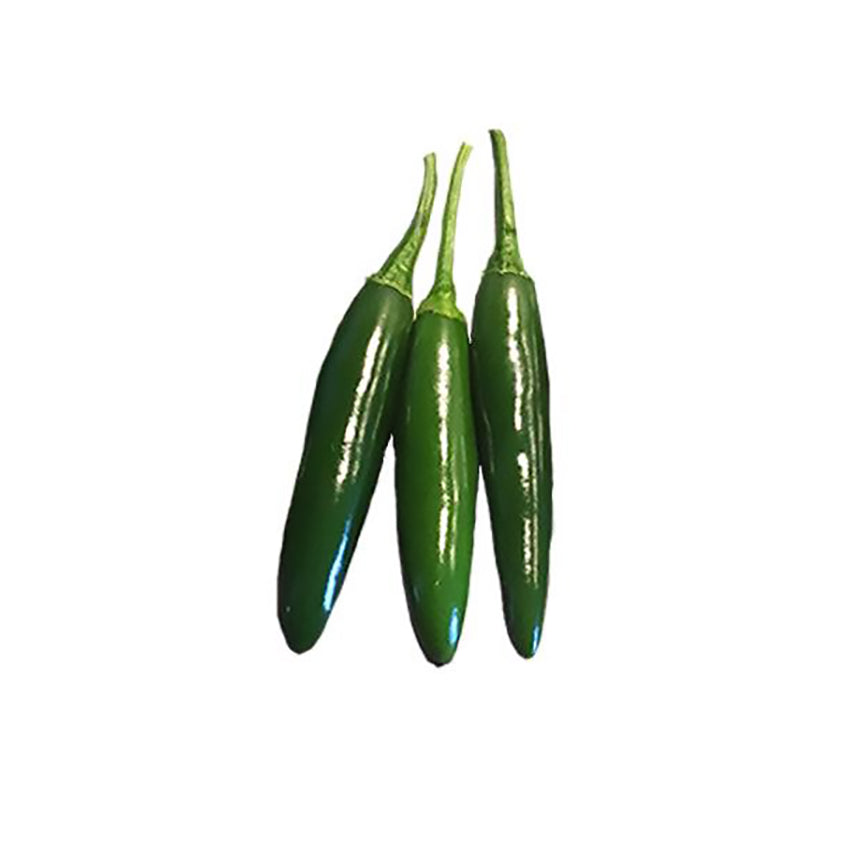 Three fresh green Serrano Hidalgo peppers, known for their hot Mexican flavor, ideal for salsa and pickling recipes.