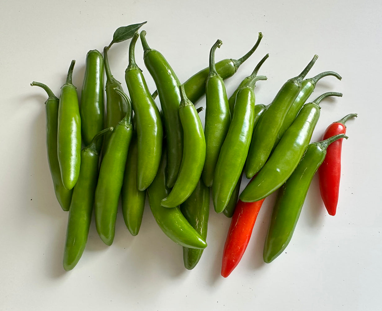 Serrano Tampiqueño Seeds - Heirloom with Unique Hot Flavor