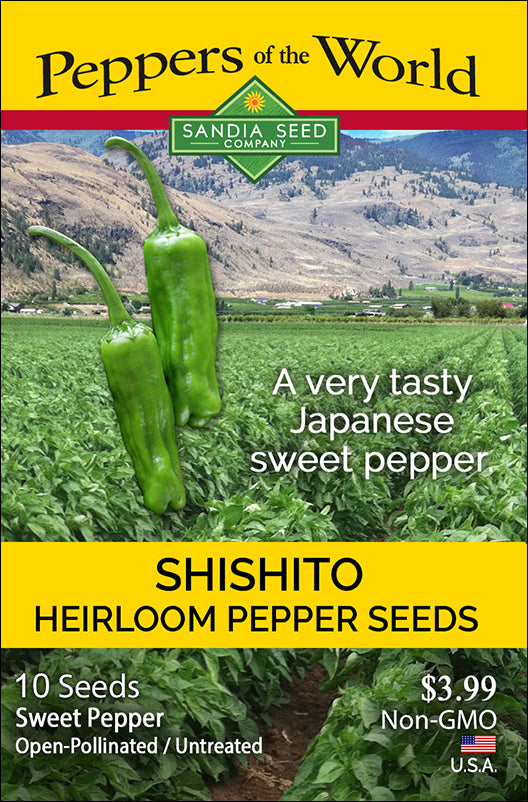 Shishito Pepper Seeds - Japanese Sweet Heirloom seed packet by Sandia Seed Company, featuring non-GMO, open-pollinated seeds for home gardens.
