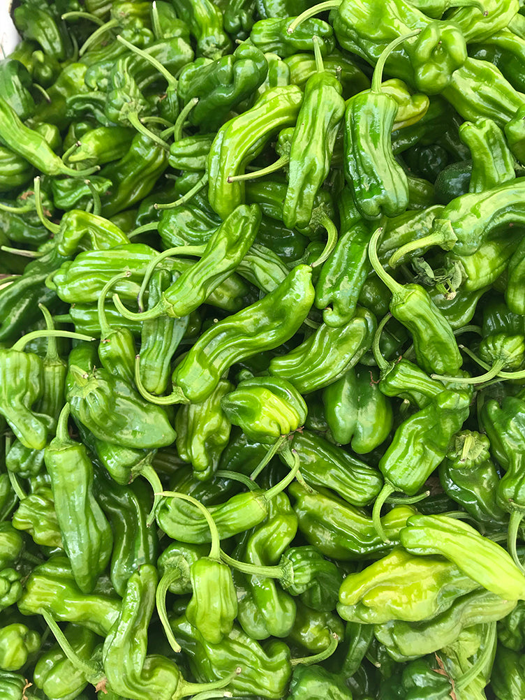 Shishito Pepper Seeds - Japanese Sweet Heirloom - Easy to Grow