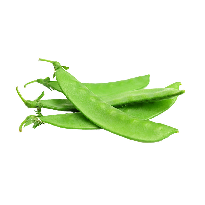 Pea - Snow - Oregon Sugar Pod II Seeds