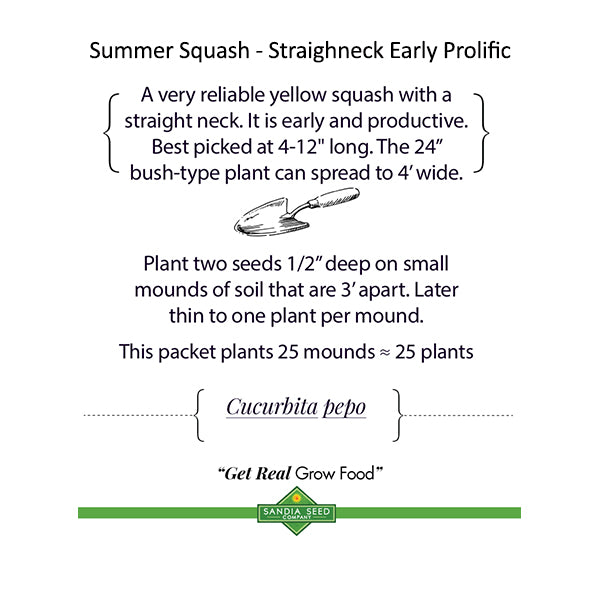 Three Sisters Garden 3-Pack: Corn, Pole Bean and Squash Seeds - 15% Off