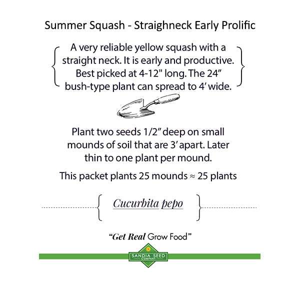 Three Sisters Garden Seeds - Companion Trio - Corn, Bean, Squash squash info card with Straightneck Early Prolific planting and spacing guide.