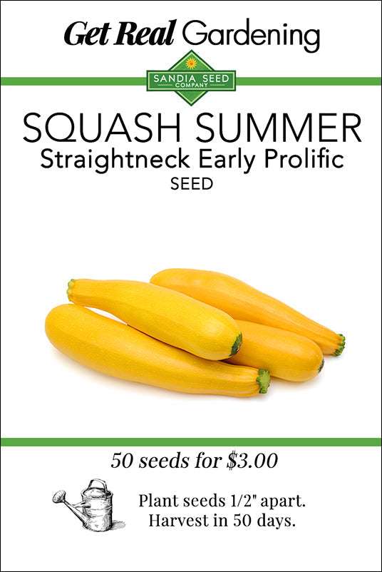 Three Sisters Garden Seeds - Companion Trio - Corn, Bean, Squash squash seed packet for Straightneck Early Prolific yellow summer squash.