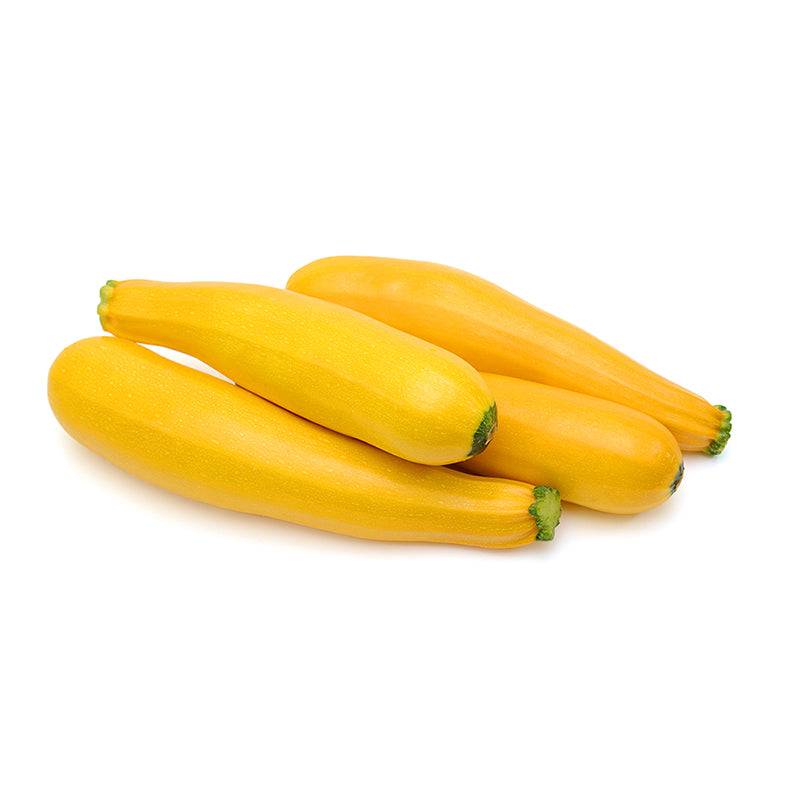 Shop Summer Squash Early Prolific Seeds - Heavy Yields & Fast Growth featuring four fresh yellow straightneck squash on white background.