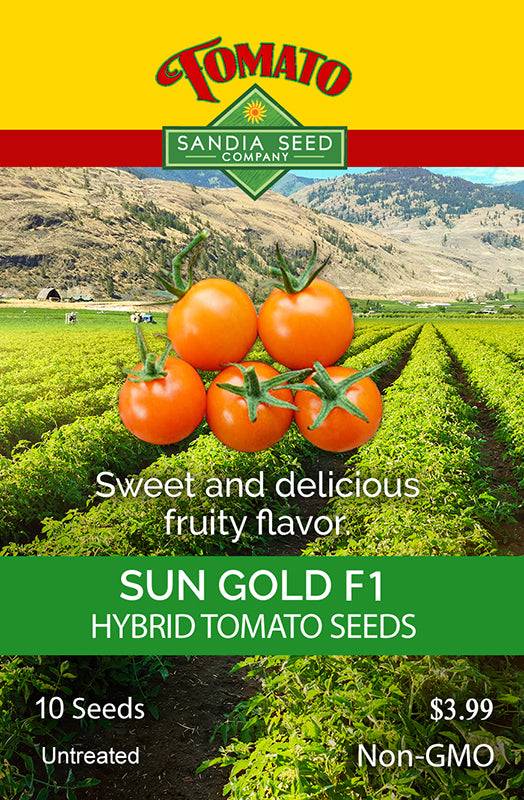 Sun Gold F1 Hybrid Tomato Seeds packet from Sandia Seed Company, featuring sweet orange cherry tomatoes and planting details.