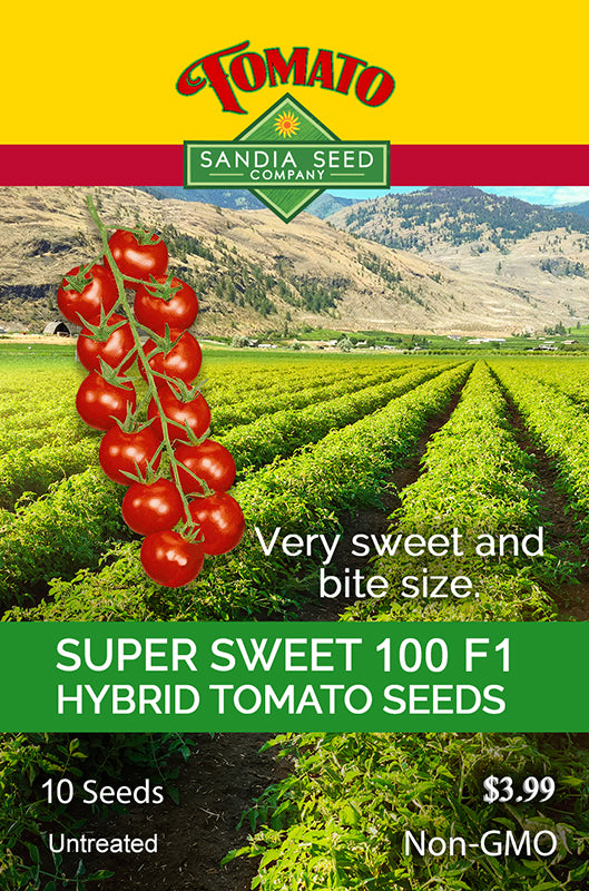 Seed packet for Super Sweet 100 F1 Hybrid Tomato Seeds by Sandia Seed Company, highlighting cherry tomatoes and lush farm background.