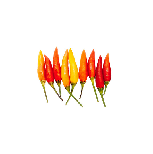 Tabasco Pepper Seeds - Heirloom - Easy Growth & Very Hot; colorful ripe peppers in red, orange, and yellow ideal for home chefs and hot sauce making.