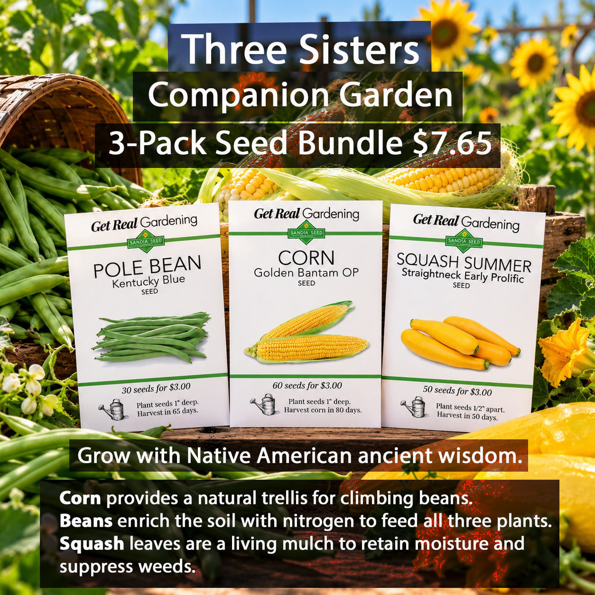 Three Sisters Companion Garden - 3-Pack Discount Sale - Corn, Pole Bean and Squash Seeds