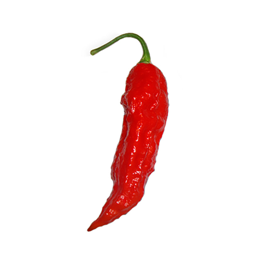 Tombstone Ghost Pepper Seeds - Red Hot Heat - 1,000,000 SHU