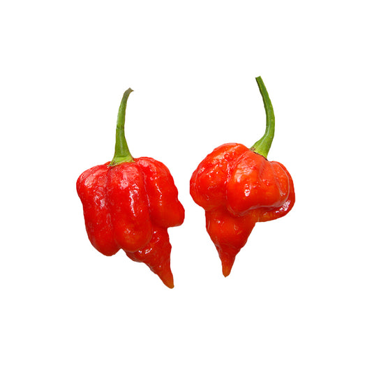 Trinidad Scorpion Pepper Seeds - Extreme Heat, Fruit Flavor