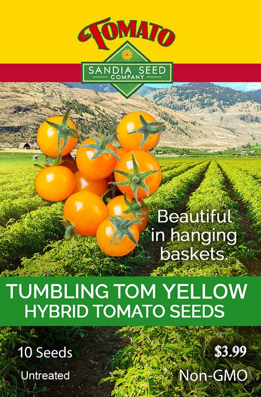 Tumbling Tom Yellow Tomato Seeds by Sandia Seed Company, perfect for hanging baskets; hybrid, non-GMO seeds for cheerful patio displays.