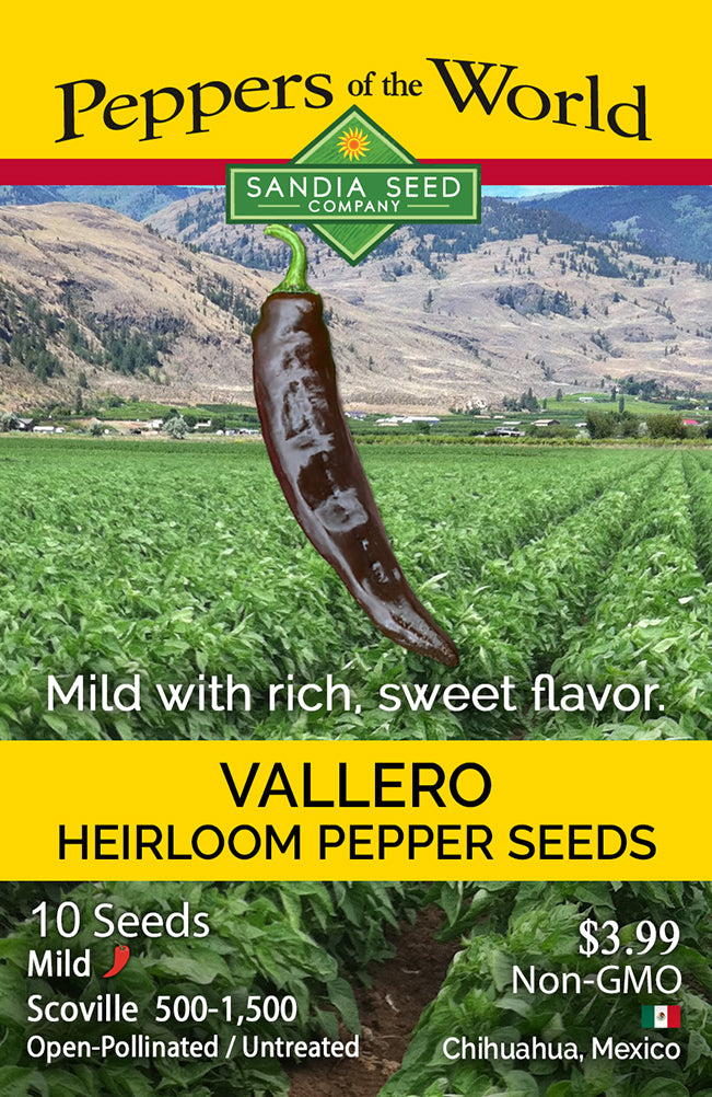 Vallero Pepper Seeds packet by Sandia Seed Company featuring heirloom variety from Mexico with mild heat and sweet, earthy flavor.