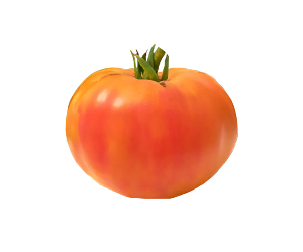 kroger plant seeds Virginia Sweets Tomato Seeds - Heirloom