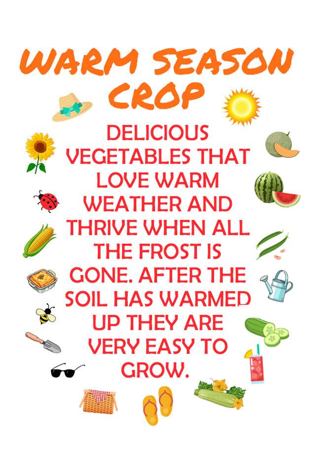 Warm Season Crop gardening guide with colorful icons and planting tips. Highlights vegetables that thrive in warm weather after frost ends.