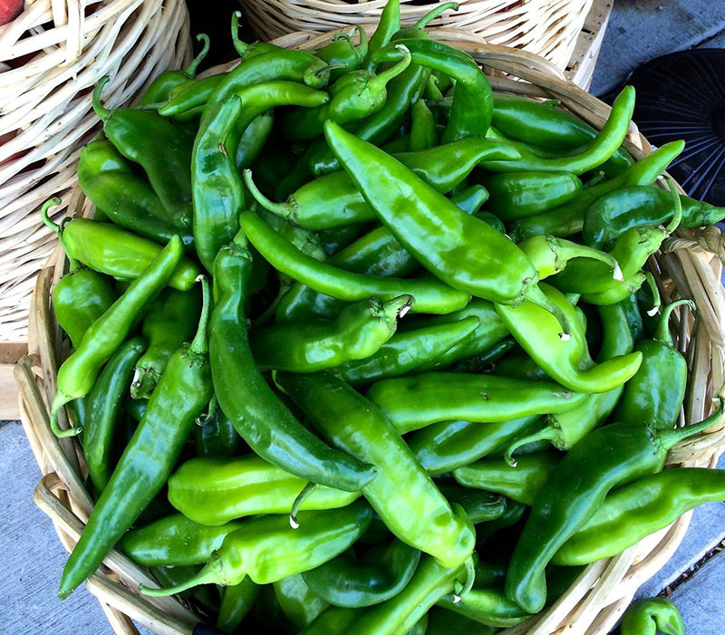 Anaheim Pepper Seeds